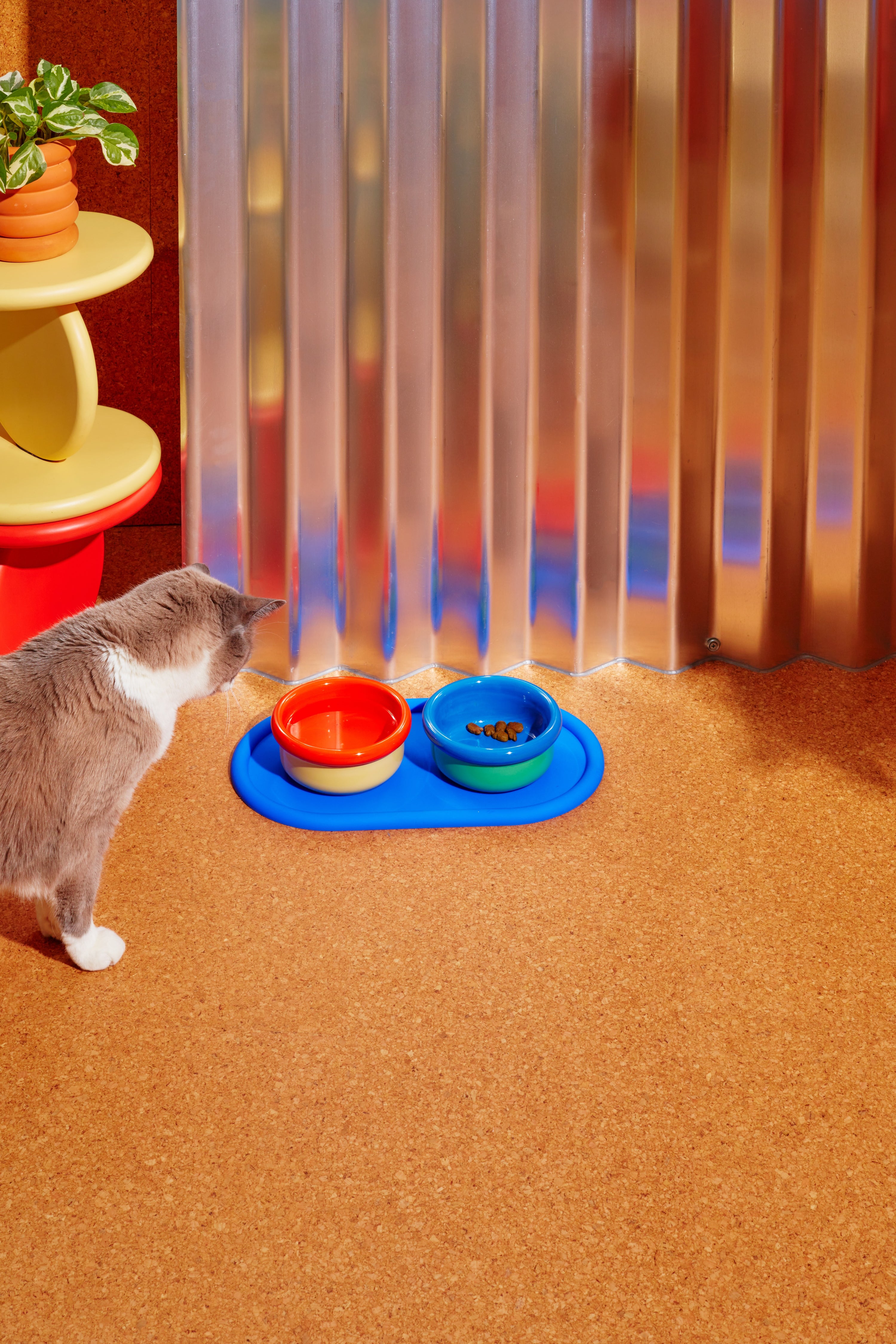 Areaware - Every Pet Eats Set · TINGKO SELECT