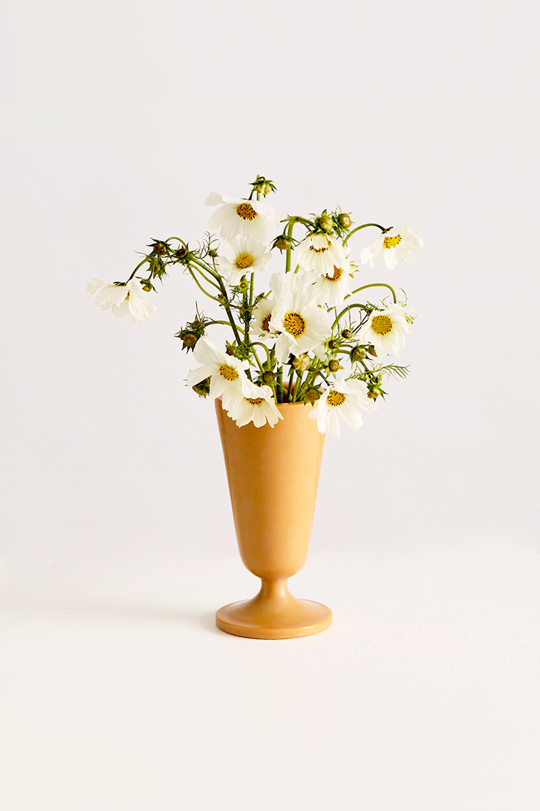 The Wax Vase – TINGKO SELECT