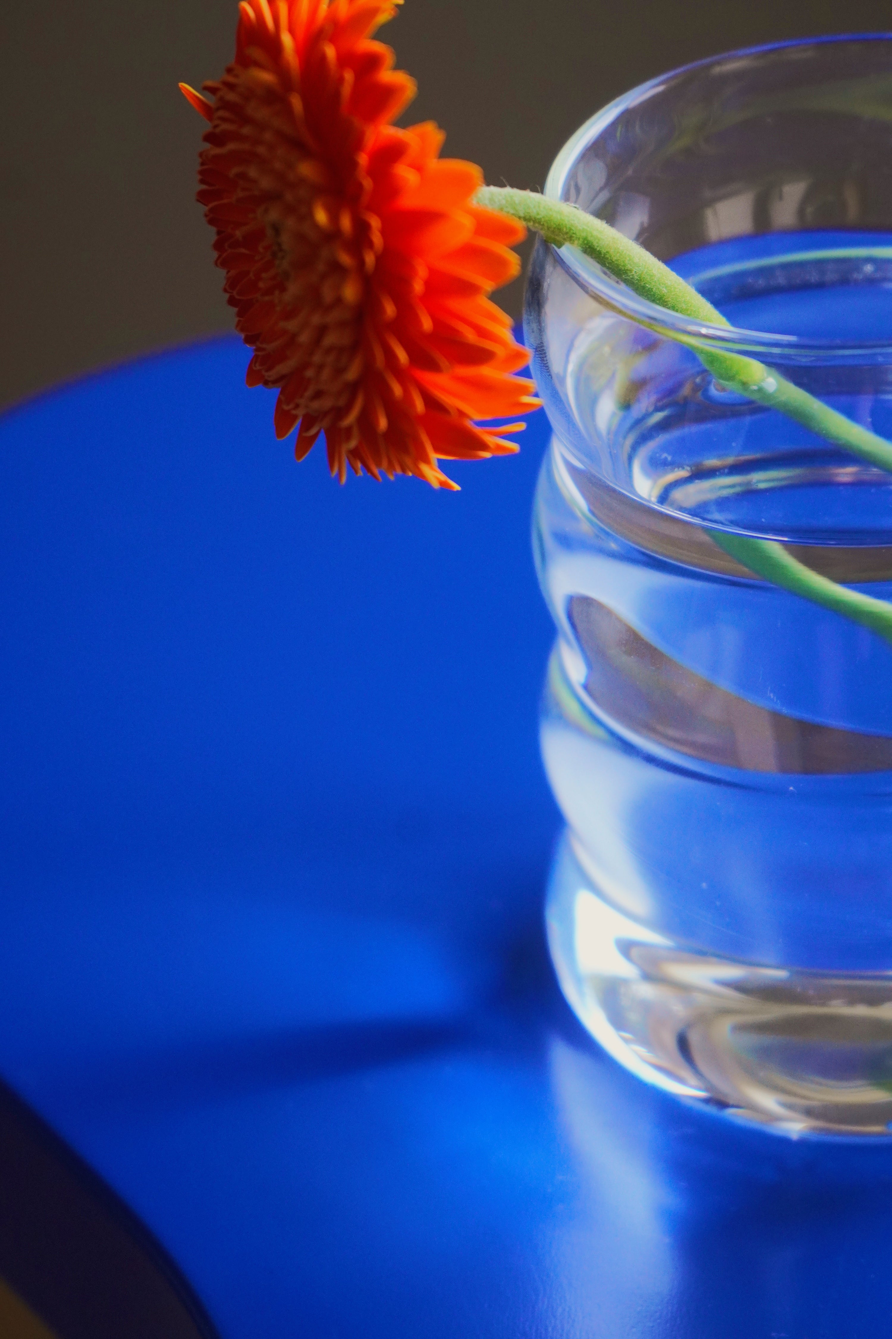 Bloom: Morning Ritual Set ( Ripple Cup + Poppy Incense Holder)