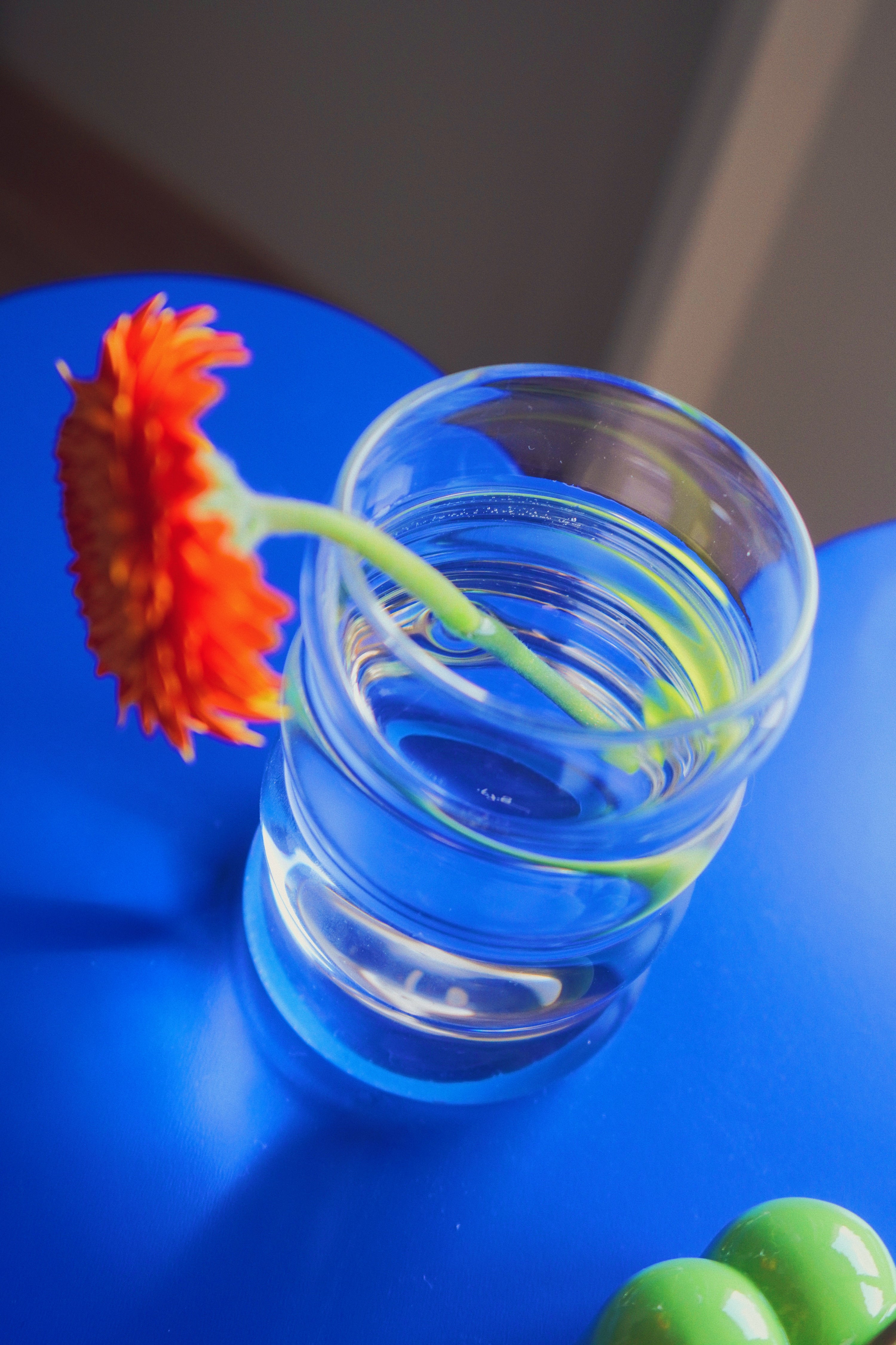 Bloom: Morning Ritual Set ( Ripple Cup + Poppy Incense Holder)