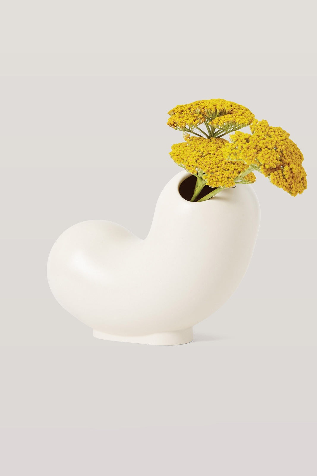 Kirby Vase · Curly