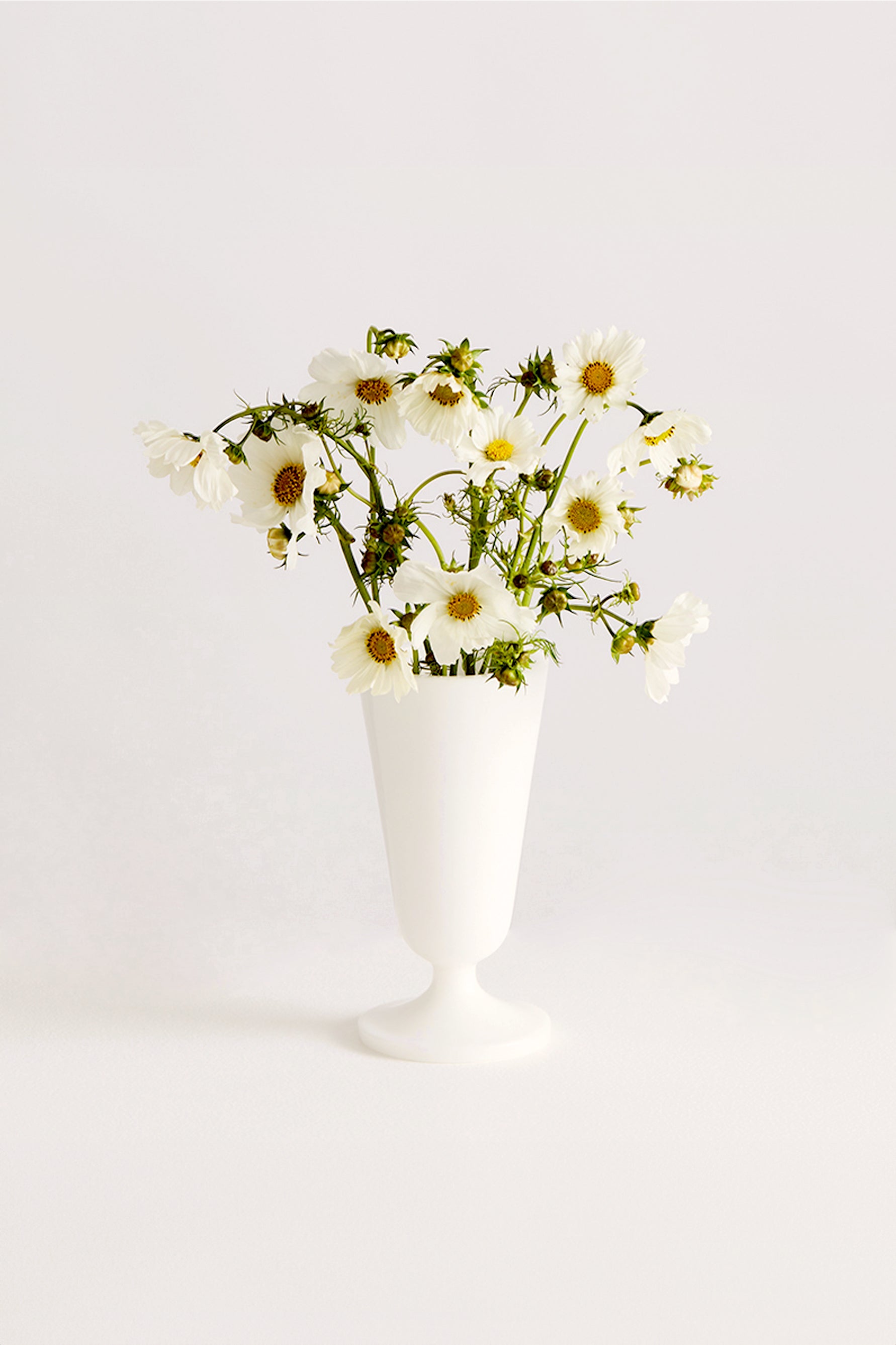 Maison Balzac - The Wax Vase · TINGKO SELECT