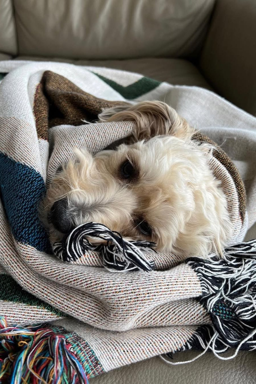 Bien Mal - Cafecito Throw Blanket · TINGKO SELECT