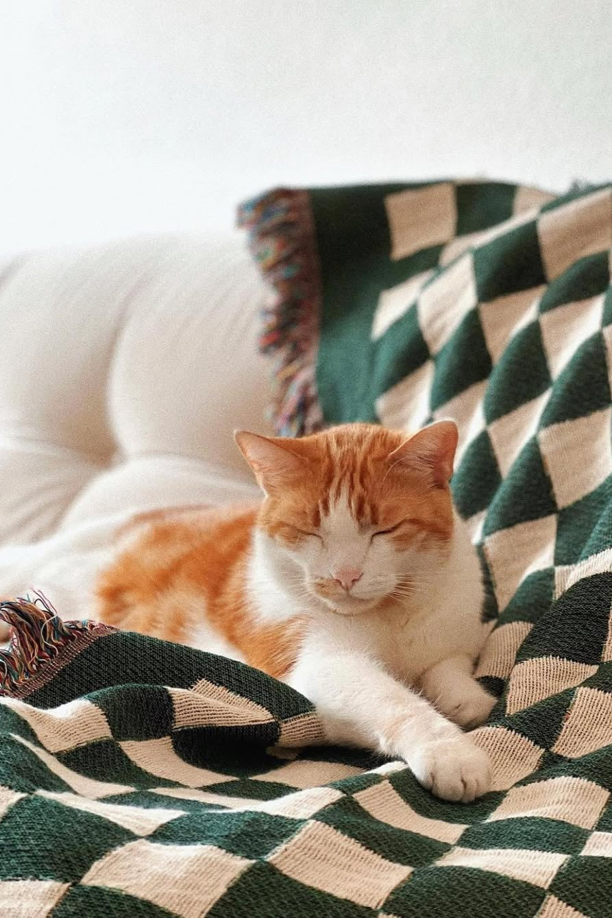 Bien Mal - Mate Throw Blanket · TINGKO SELECT