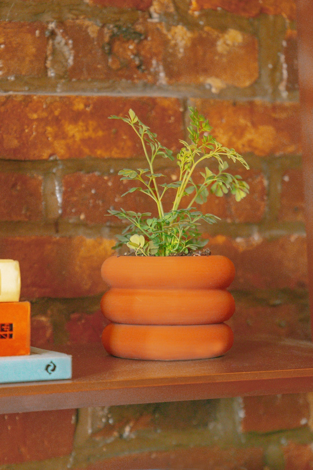 Stacking Planter Mini · Short · Terracotta