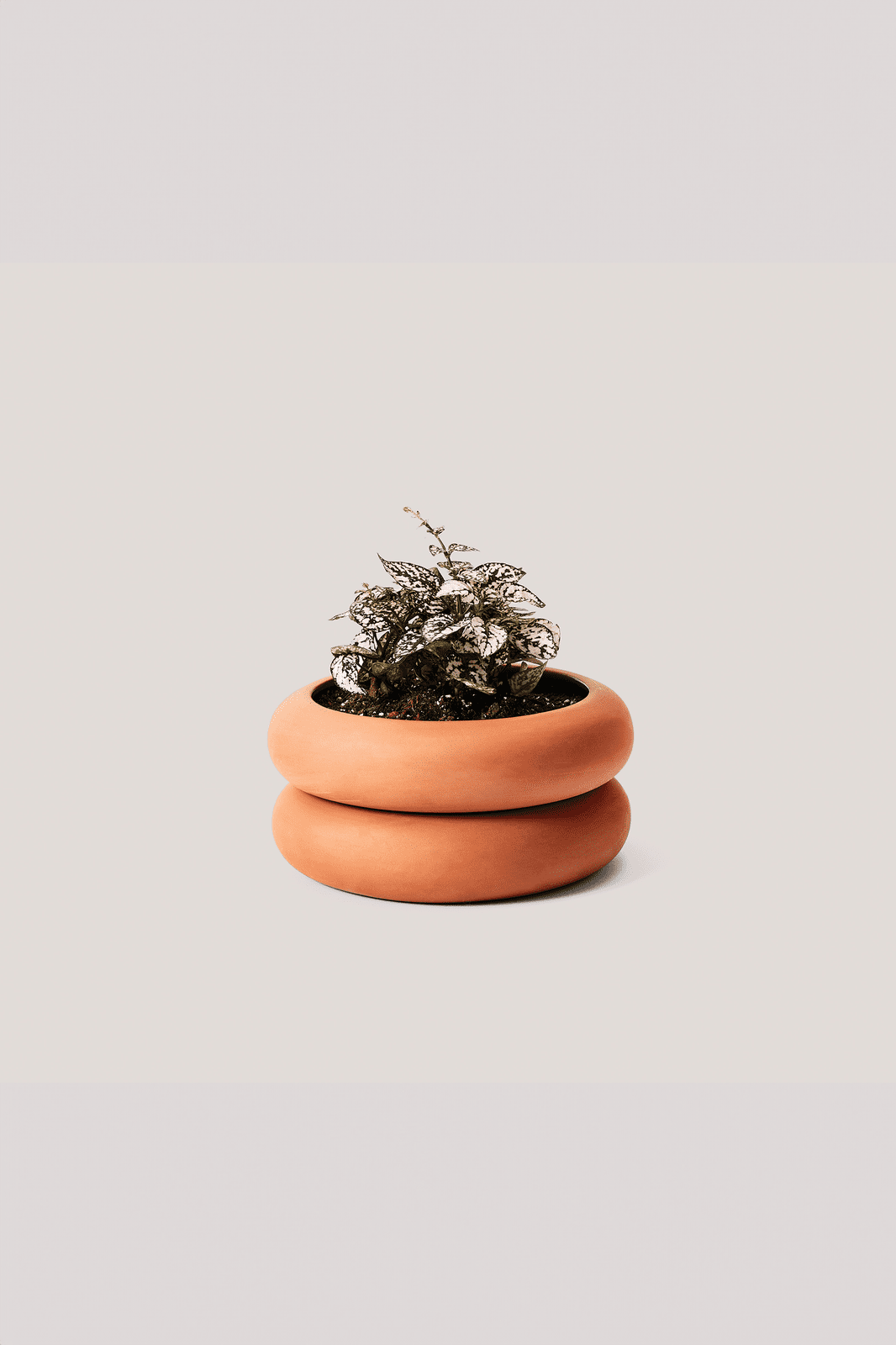 Stacking Planter · Short · Terracotta