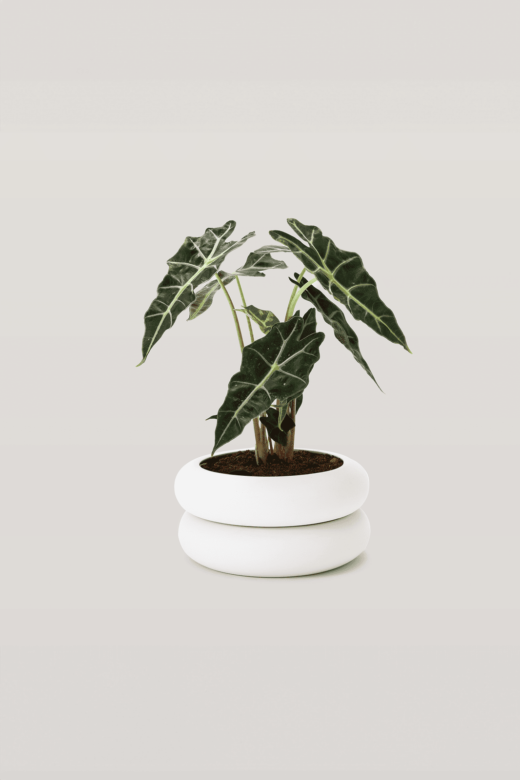 Stacking Planter · Short · White