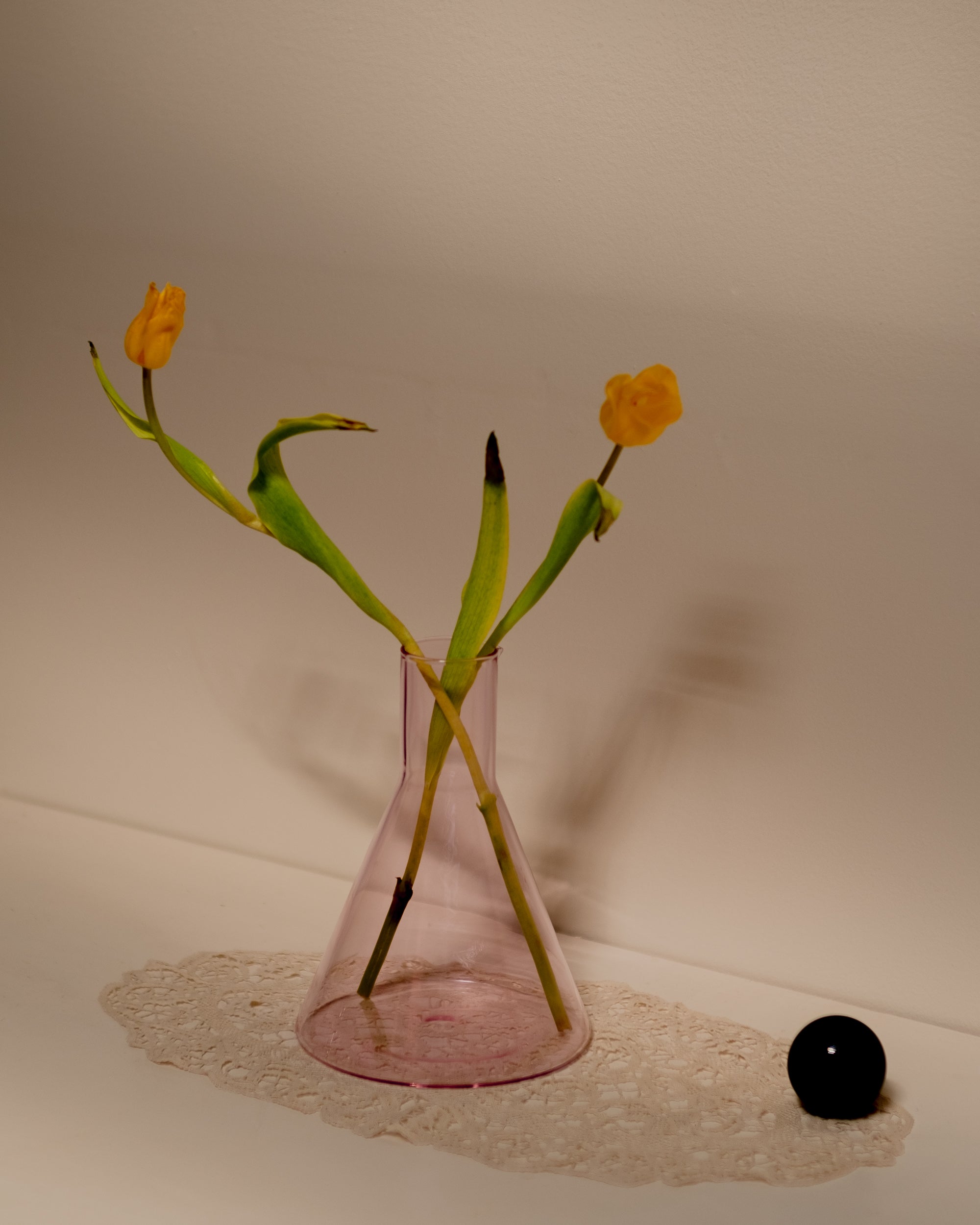 Bilboquet Carafe · Pink + Black